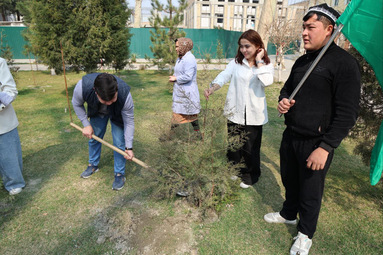 Yashil universitet faoliyati